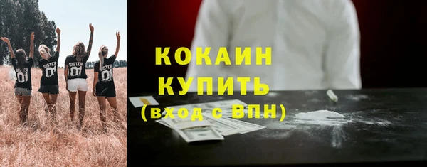 стафф Великий Новгород