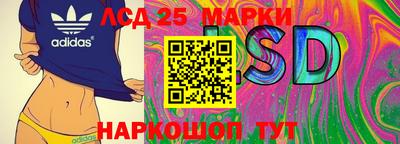 индика Ирбит