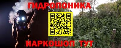 индика Ирбит