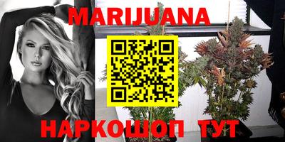 индика Ирбит
