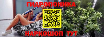 индика Ирбит